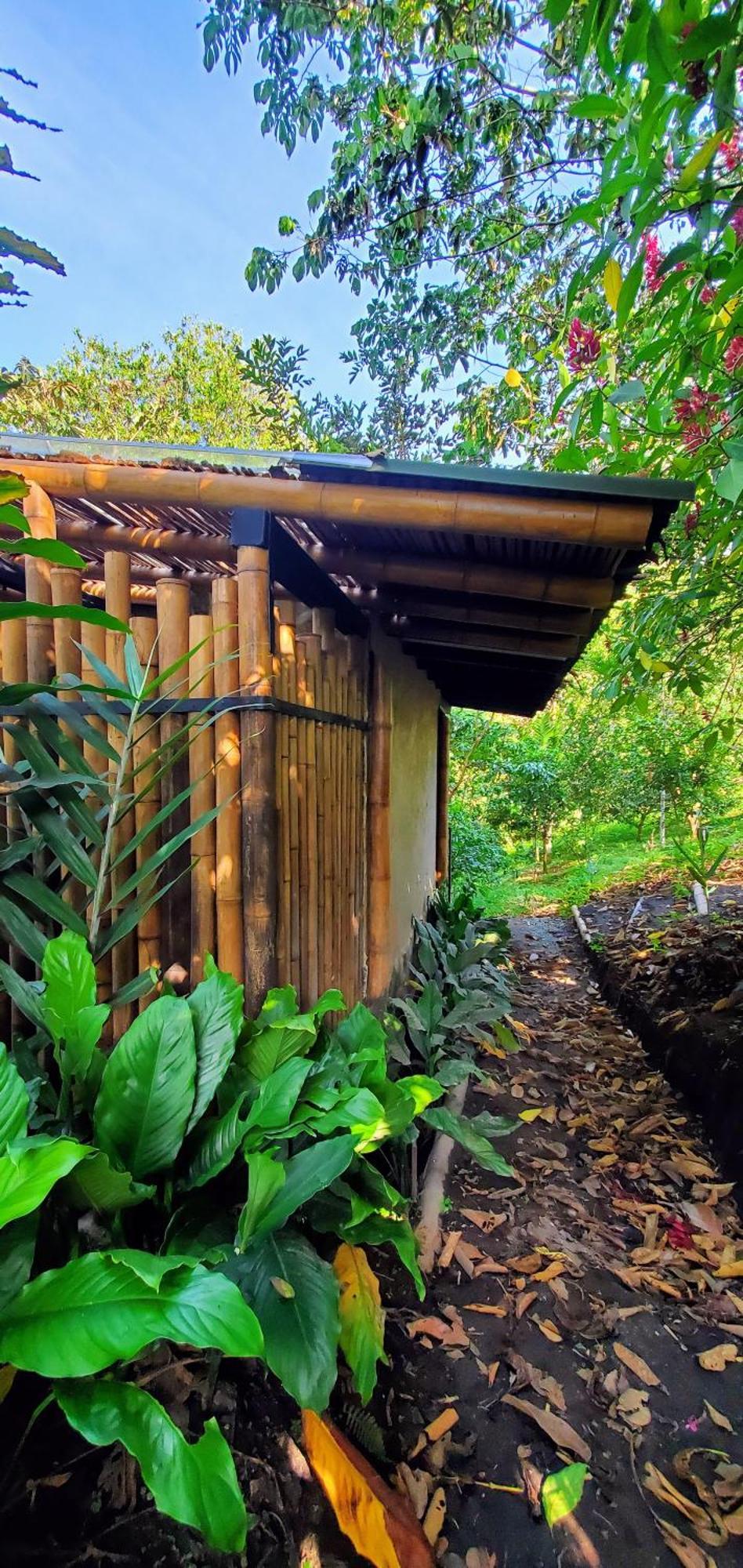 Ecohotel Alma Calarcá Exteriör bild