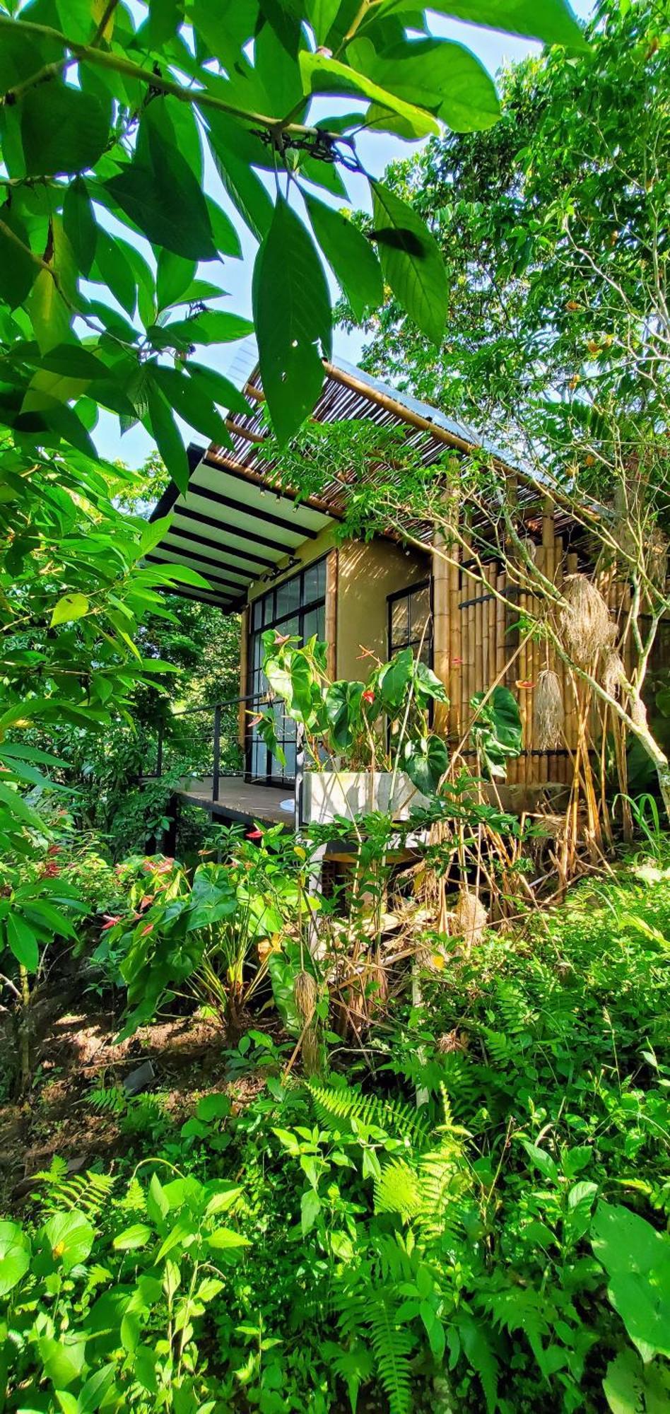 Ecohotel Alma Calarcá Exteriör bild