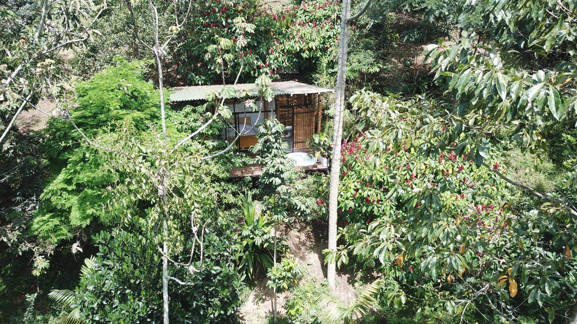 Ecohotel Alma Calarcá Exteriör bild